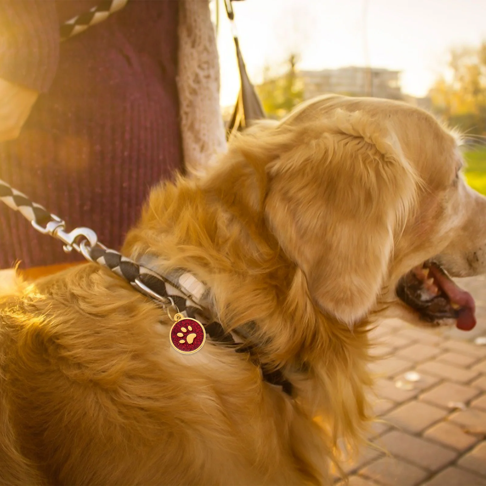 

6Pcs Pet Address Tags Metal Hanging Boards Zinc Alloy Pet Collar Tags Anti-Lost Lightweight Identity Label for Dogs Cats