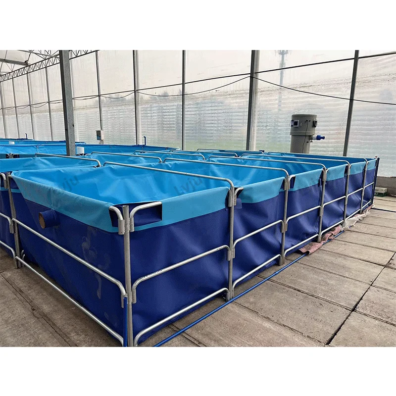 2025년형 강철 파이프 랍스터 탱크 연못 어항 플라스틱 양식장 탱크 새우 양식 농업 장비