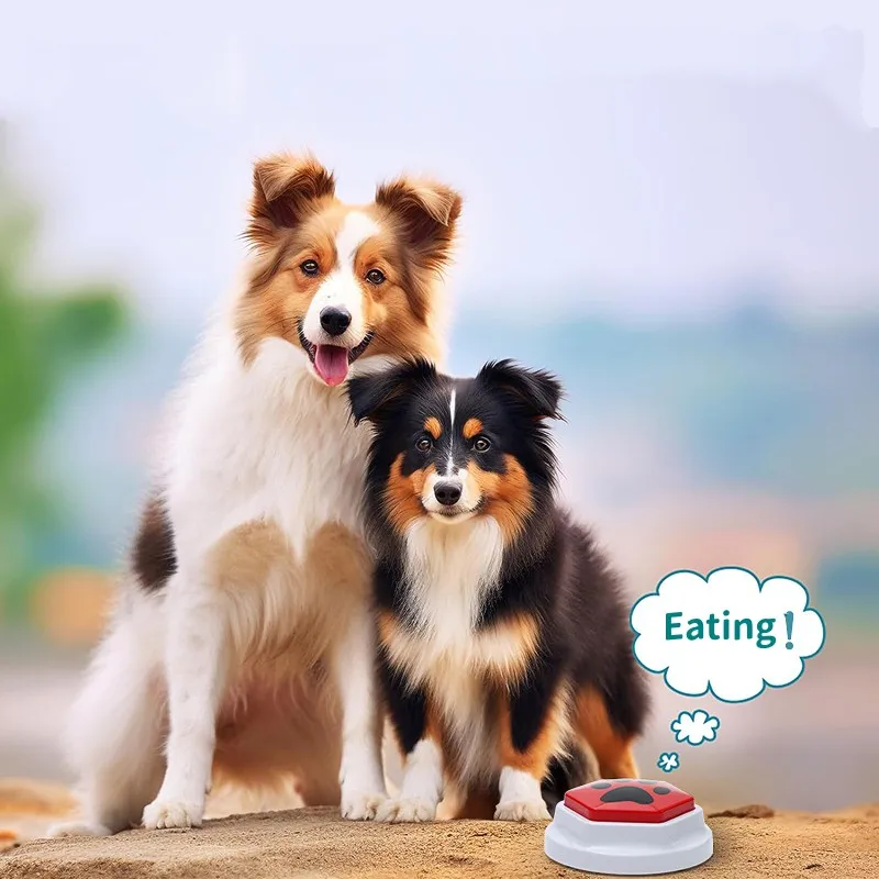 Pet Training Recordable Talking Sound Button Hexagonal Paw Pattern Speak Answering Interactive Voice Dog Toy For Communication