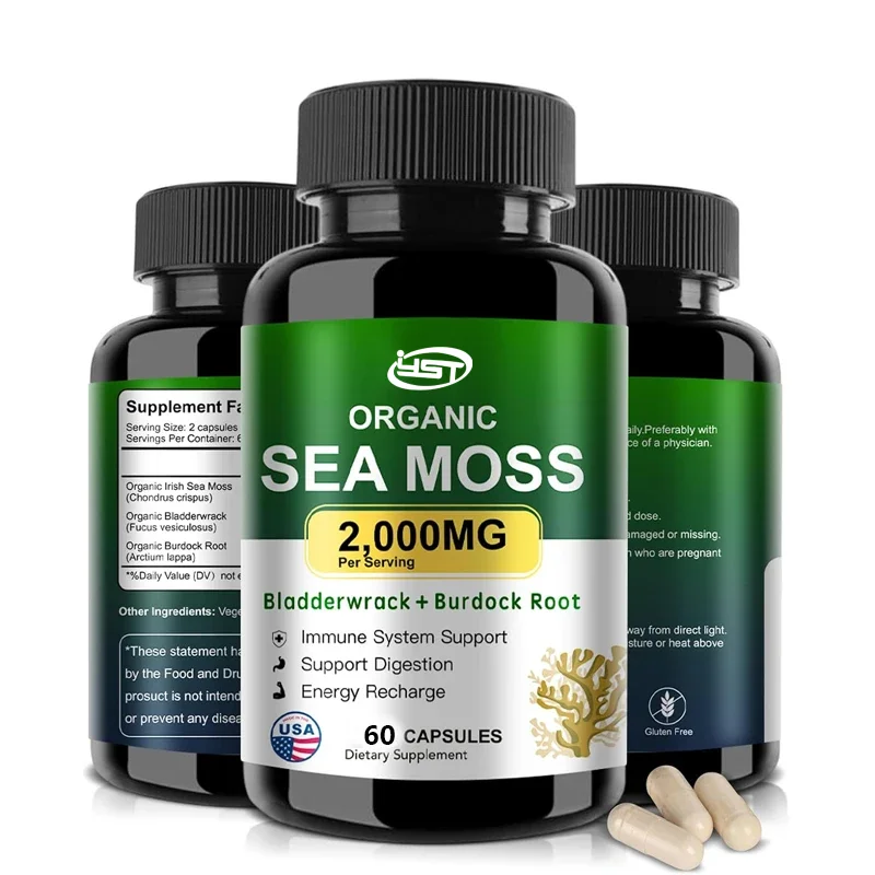 Organic seaweed capsules containing bladder, burdock root, and black pepper extract - promote immune system, thyroid support