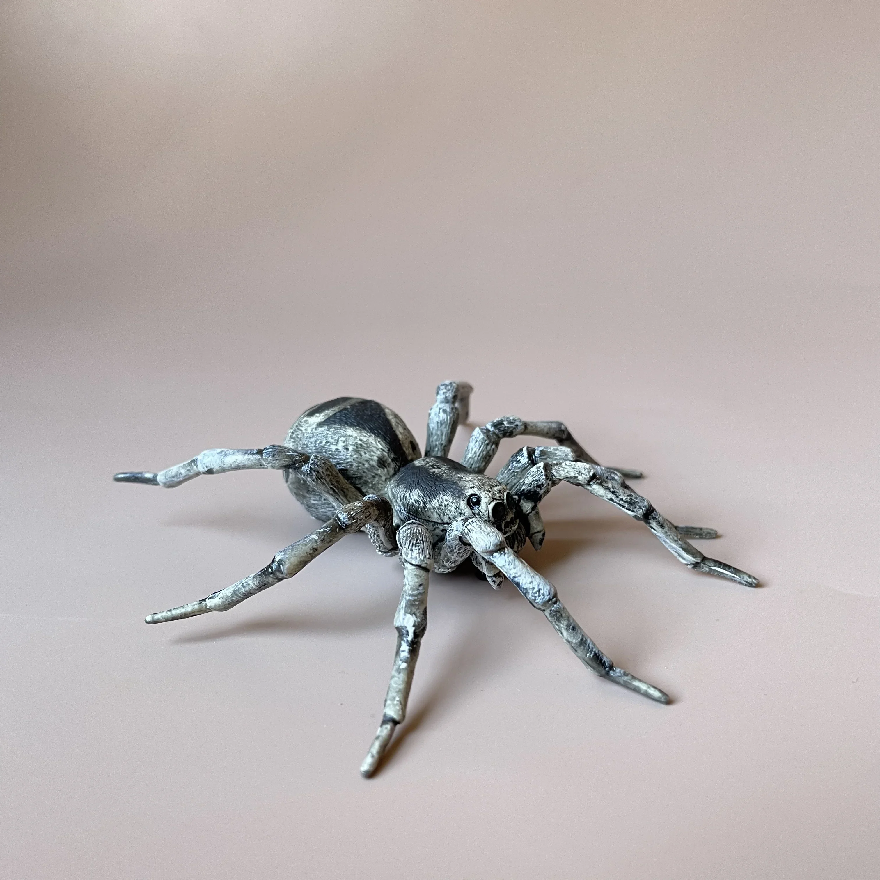 Tarantula pająk symulacja owada Model zwierzęcia kolekcja zabawek Ornament plastikowa zabawka statyczny Model figurka zwierzątko