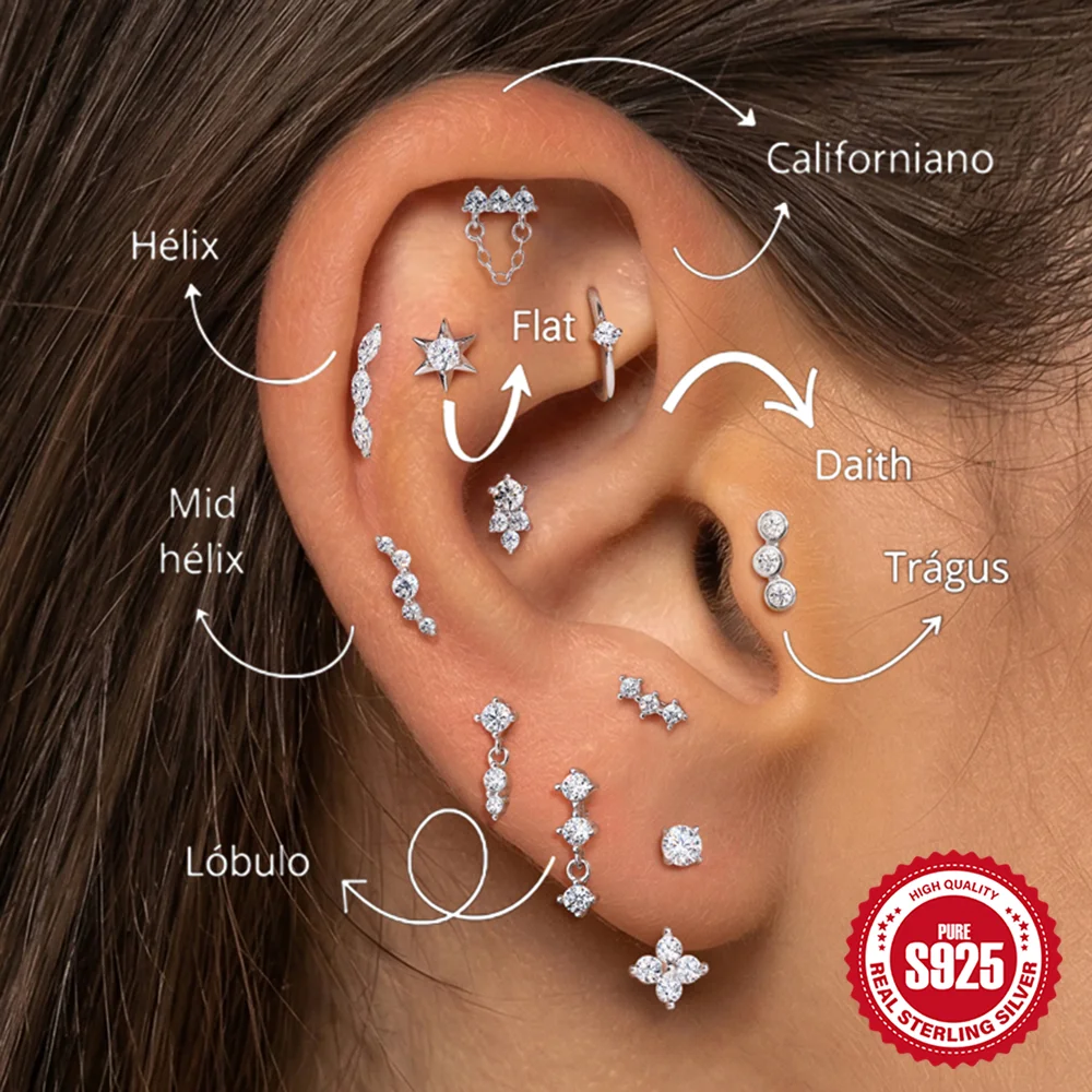 CANNER 925 Sterling Silver Shiny Moissanite Star/Flower Tassel Piercing Earrings For Woman Party Wedding Helix/Tragus Jewelry