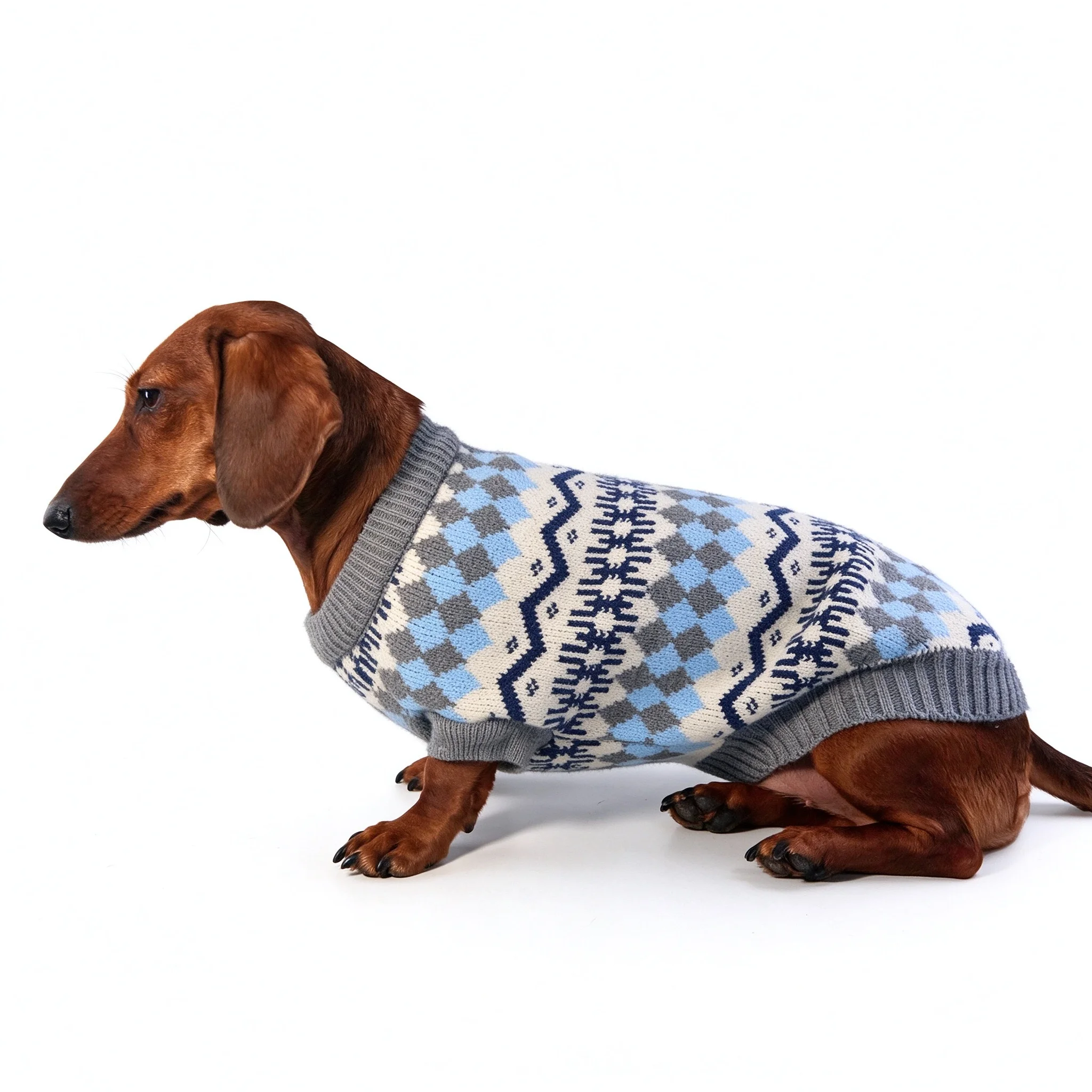 Warme blauwgrijze trui in Fair Isle-stijl voor Wiener Dog, geschikt voor de winter en de herfst. Zachte, dik gebreide vest met korte mouwen voor Dachshund.