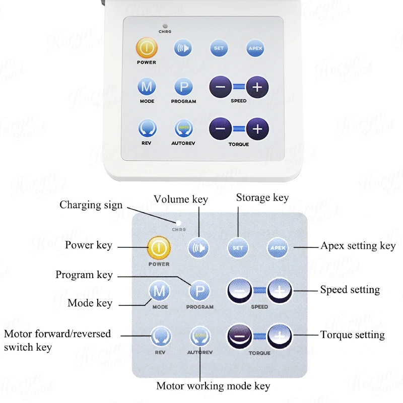 Horyn den tal R-Smart Plus Localizador apical de canal radicular endodontico com preço de motor endo