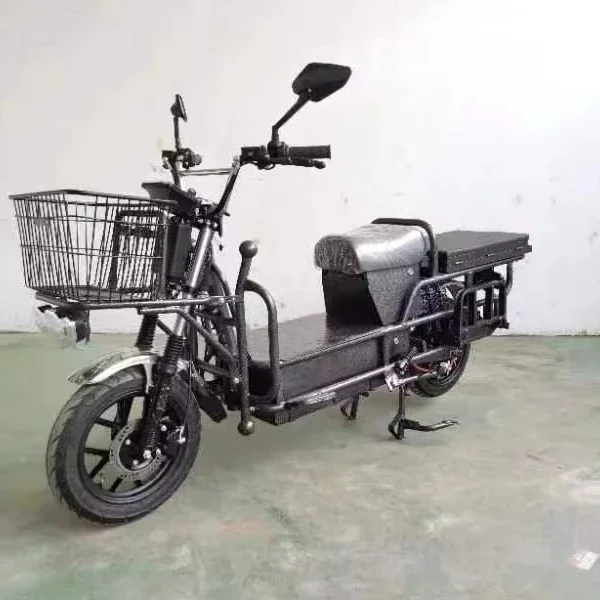 Wholesale Factory Heavy Load 650kg Electric Bike Two Wheels Electric Cargo Or Food Bicycle For Multi Use