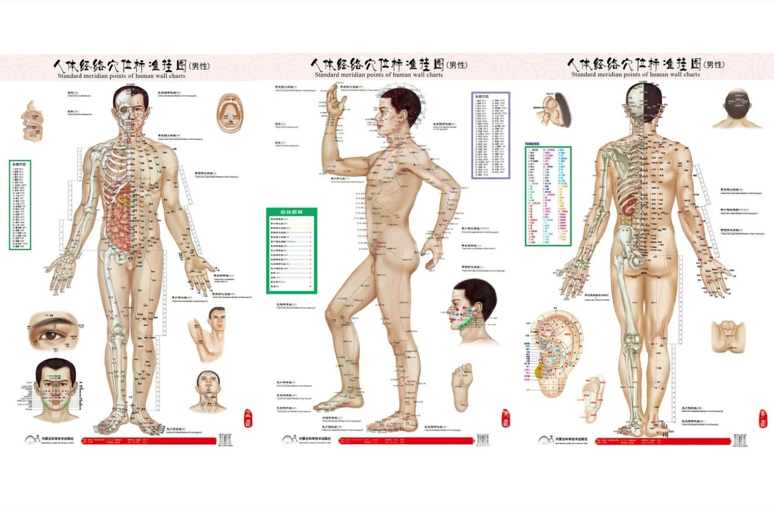 87*58cm Male human meridian points Wallmap acupuncture massage point map a full human flipchart HD 3 chinese and English