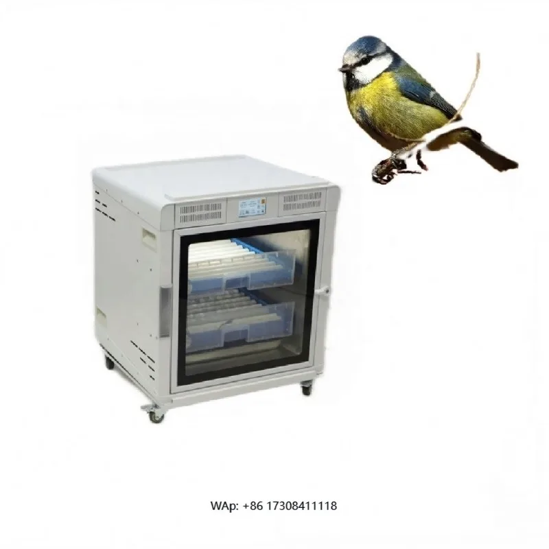

Bird brooder 90 bird brooder kit for sale