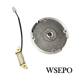 15W Flywheel Lighting Coil Set Fits Zongshen Lifan Ducar Predator Non-Hemi Model 163CC 212CC 4 Stroke Air Cool Gas Engine