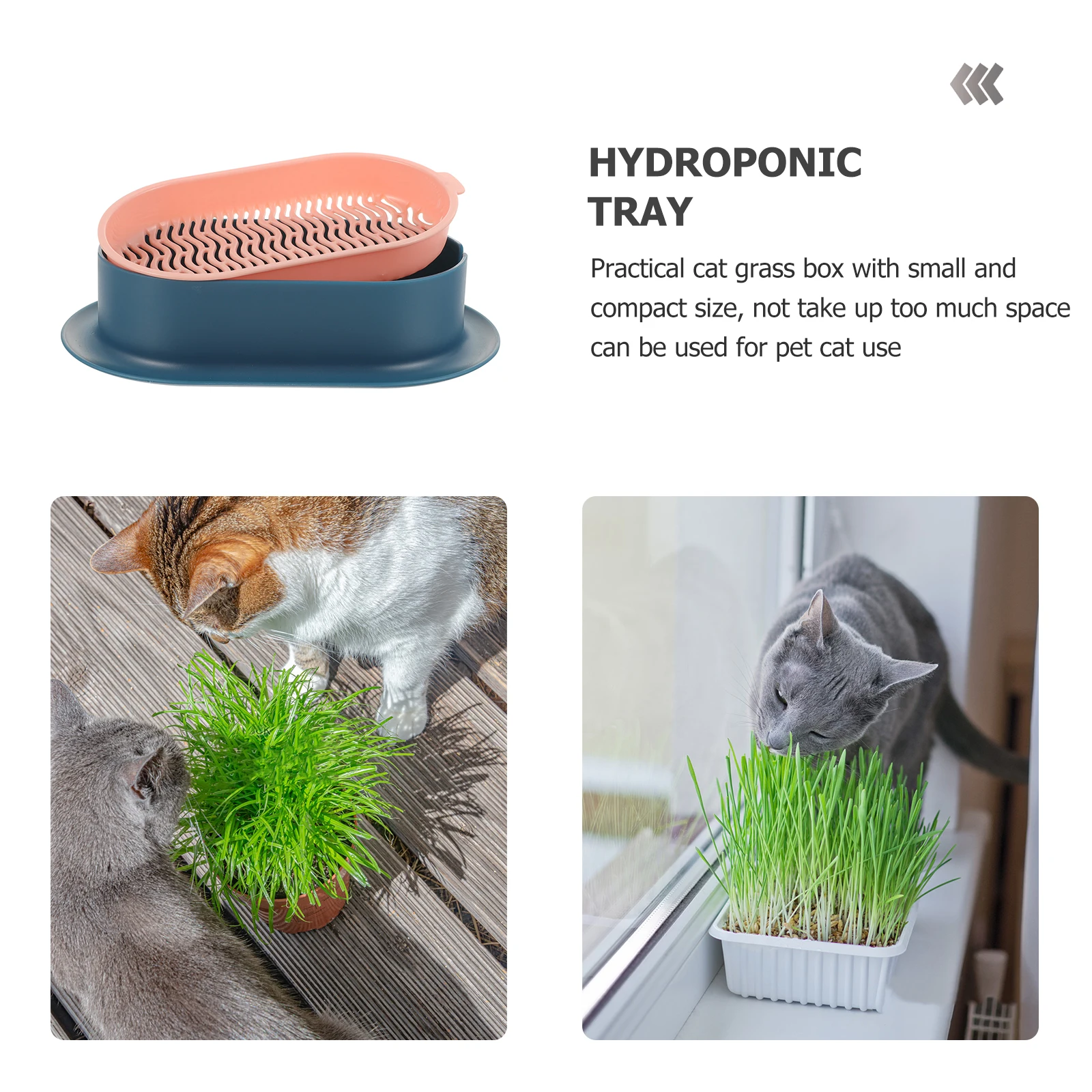 

Tray Cat Litter Box Soilless Culture Grass Planting Container Catnip Indoor Pots