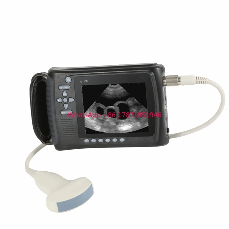 

Veterinary instrument ultrasound price cow pig goat horse cattle ultrasound scanner