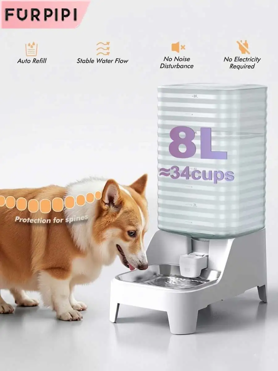 #48 Smart Dog Feeders Discount Picks