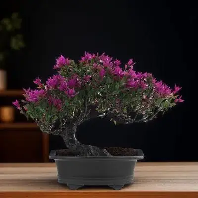 

Simulation Bonsai Pine Tree Realistic Artificial Plant for Home Decor Desktop Adornment Indoor Outdoor Decoration Gift Faux