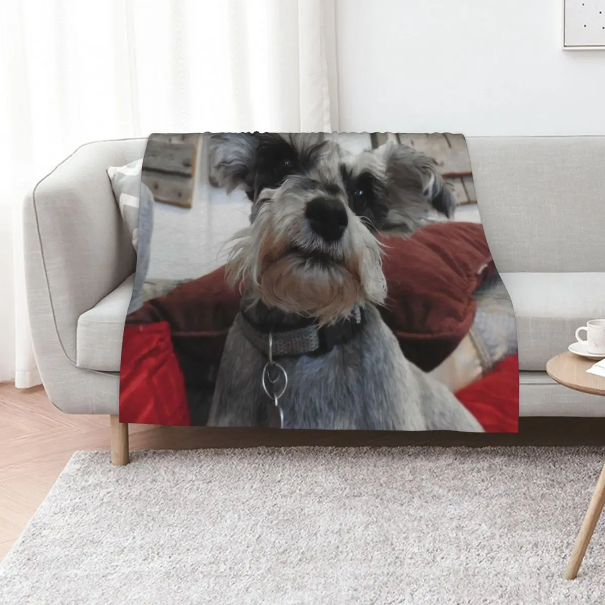 cute christmas Schnauzer Throw Blanket Camping christmas gifts warm winter cosplay anime Heavy Plush Blankets