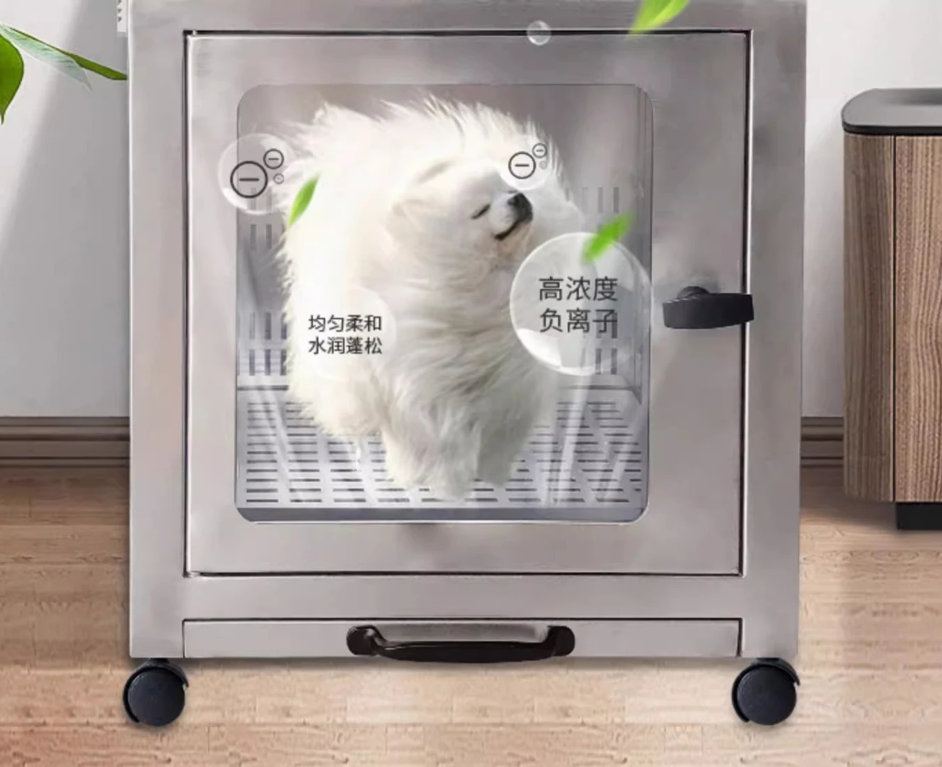 Pet drying box, water dryer, cat dryer, cat and dog household