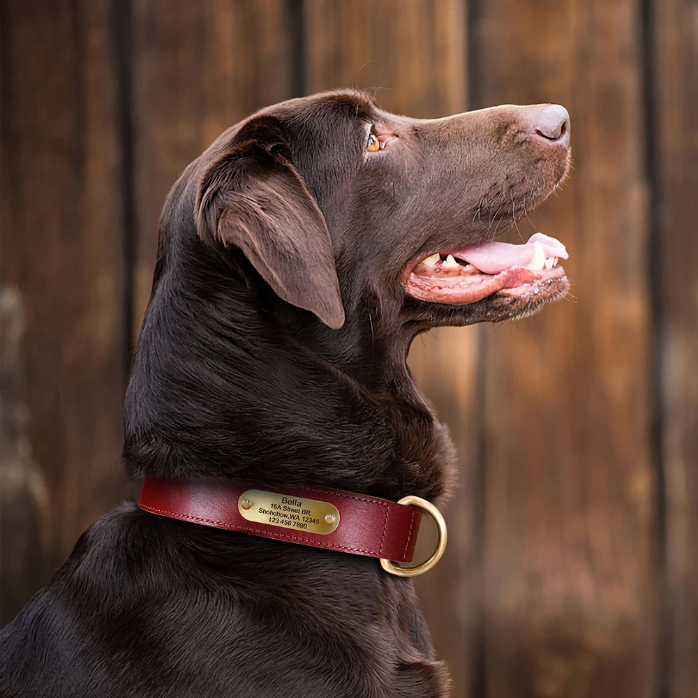 Personalisierte Hundehalsband-Leine aus echtem Leder, langlebige Hundehalsbänder, Gehbleine, Seil, frei mit Gravur für kleine, mittelgroße und große Hunde – Detail 21