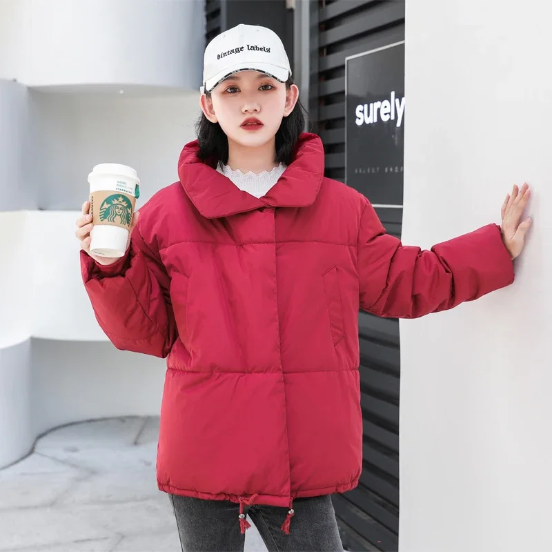 Korean Style Stand-up Collar Thick Warm Women's Jacket Coat Fashion Short Parka Winter 2023 New Women's Winter Jacket