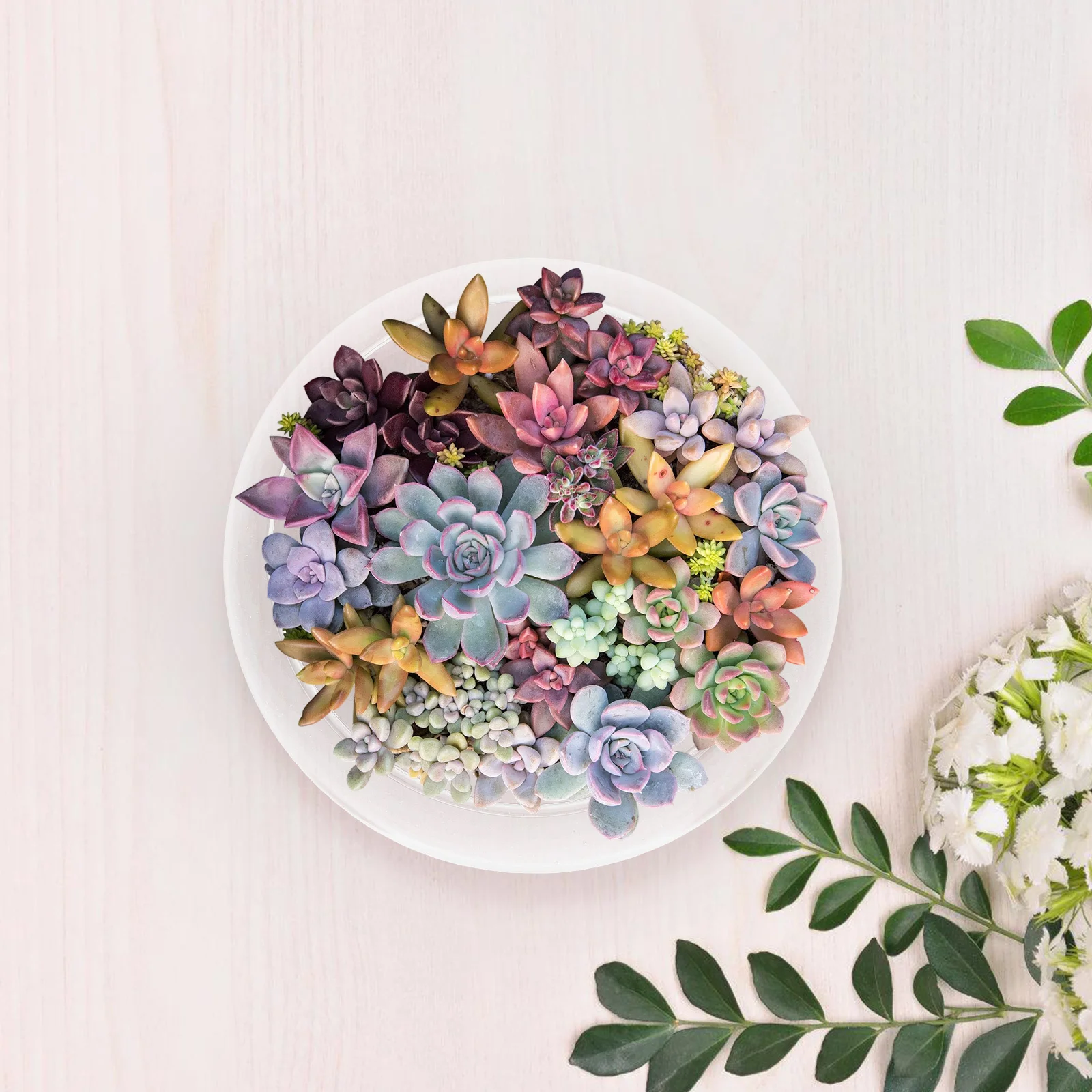 Glass Succulents Pot Clear Round Fish Bowl Hydroponic Flower Container Indoor Plants Decorative Fish Tank Succulent Planter