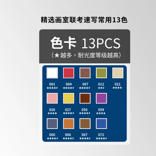 Imagen 2 del producto NYONI Lápices de carbón de colores premium, pastel de carne, juego de retratos de 13/24 colores, suministros de arte para bocetos y sombreados para artistas adultos