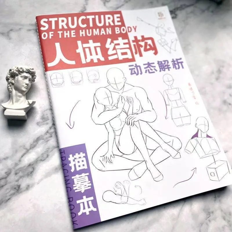 Anime Characters Tracing Sketch Hand Painted Tutorial Book Structure Of The Human Body Copy Practice Line Draft Practice Books