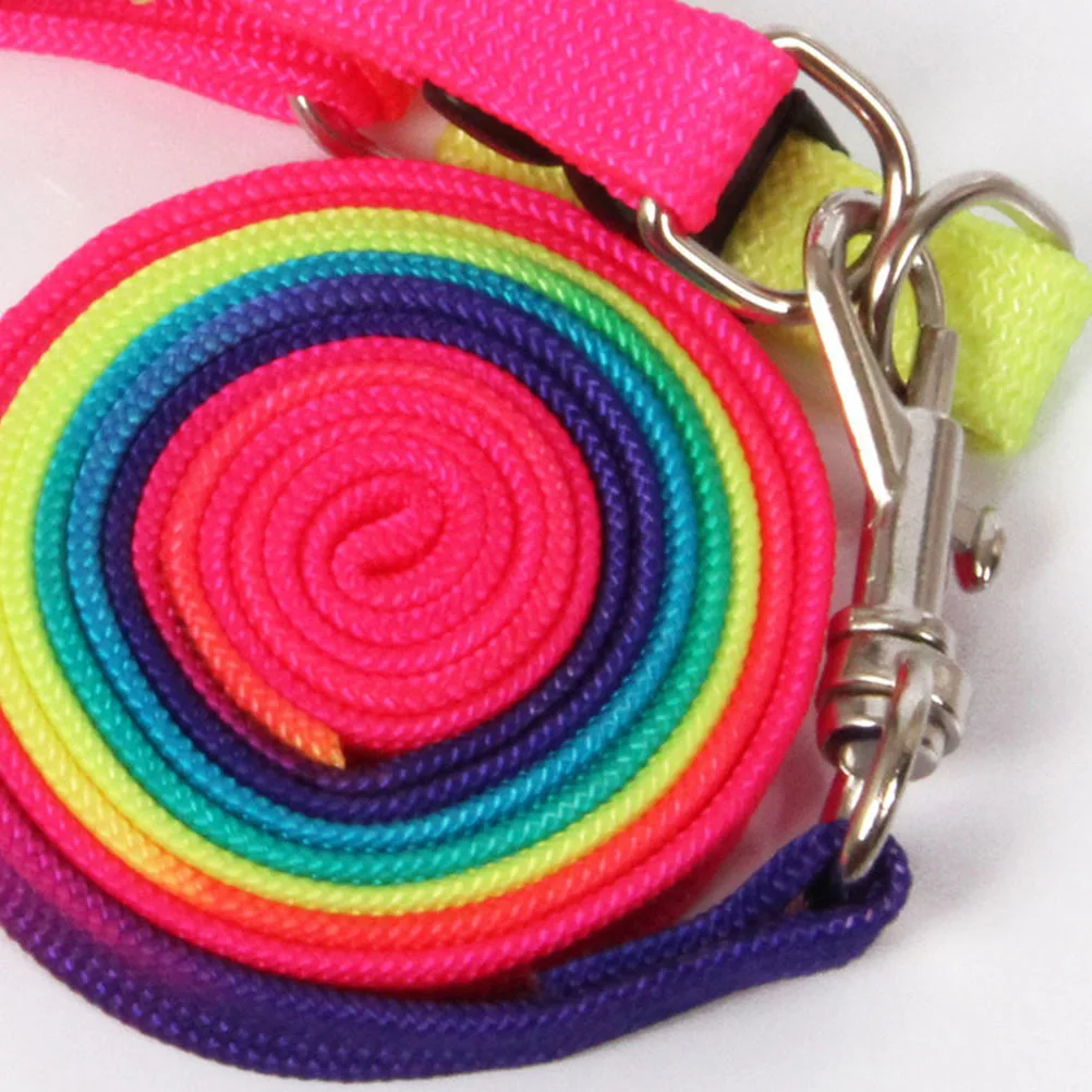 

2pcs Colorful Leash Collar Set Nylon Traction Rope For Puppy Outdoor Walking Adjustable Pet Supplies Pet Supplies