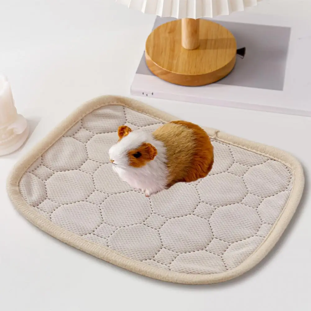 Guinea Pig CAGE Liners หนูแฮมสเตอร์ Pee Pad กันน้ํา Anti SLIP Guinea Pig ผ้าปูที่นอนดูดซับสูง Pee Pad สําหรับสัตว์ขนาดเล็กกระต่าย