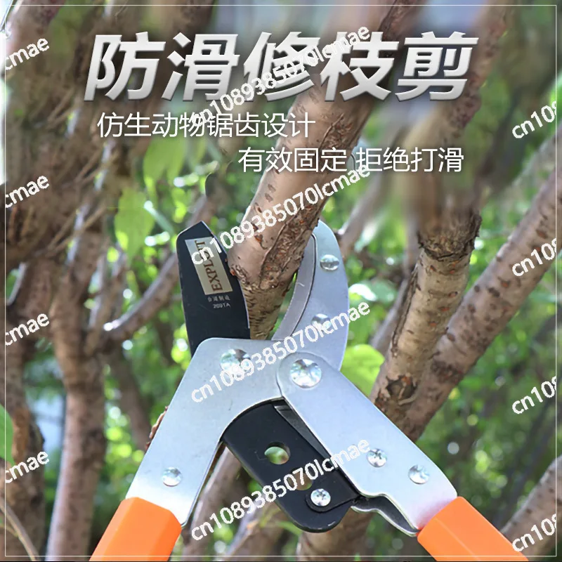 Garden Fruit Tree Pruning Shears, Lengthened Non-slip with Teeth, Not Easy To Rust, Labor-saving Portable Branch Pliers