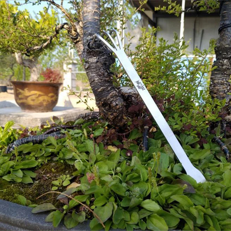 Sıcak Fırsat Paslanmaz Çelik K - Bonsai Garden For Sale incelemesi ve fiyatı