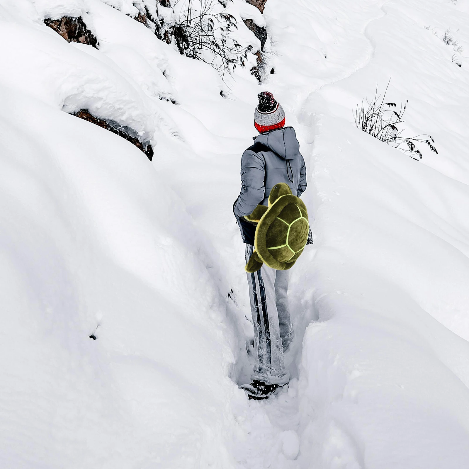 

Ski Turtle Guard Knee Pads Cute Protection Hip for Snowboarding Guards Soccer Child