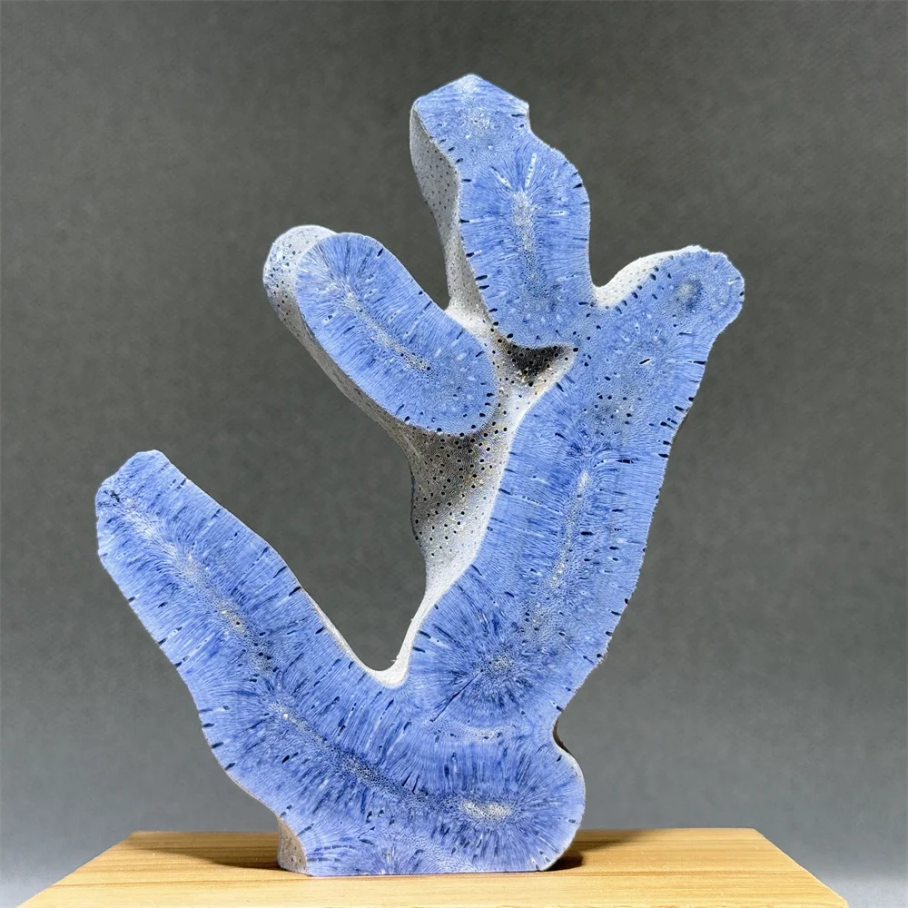 Blue Coral Free-Form Mineral Specimen Natural Quartz Reiki Therapy Chakra Meditation Home Office Room Decoration Precious Gift