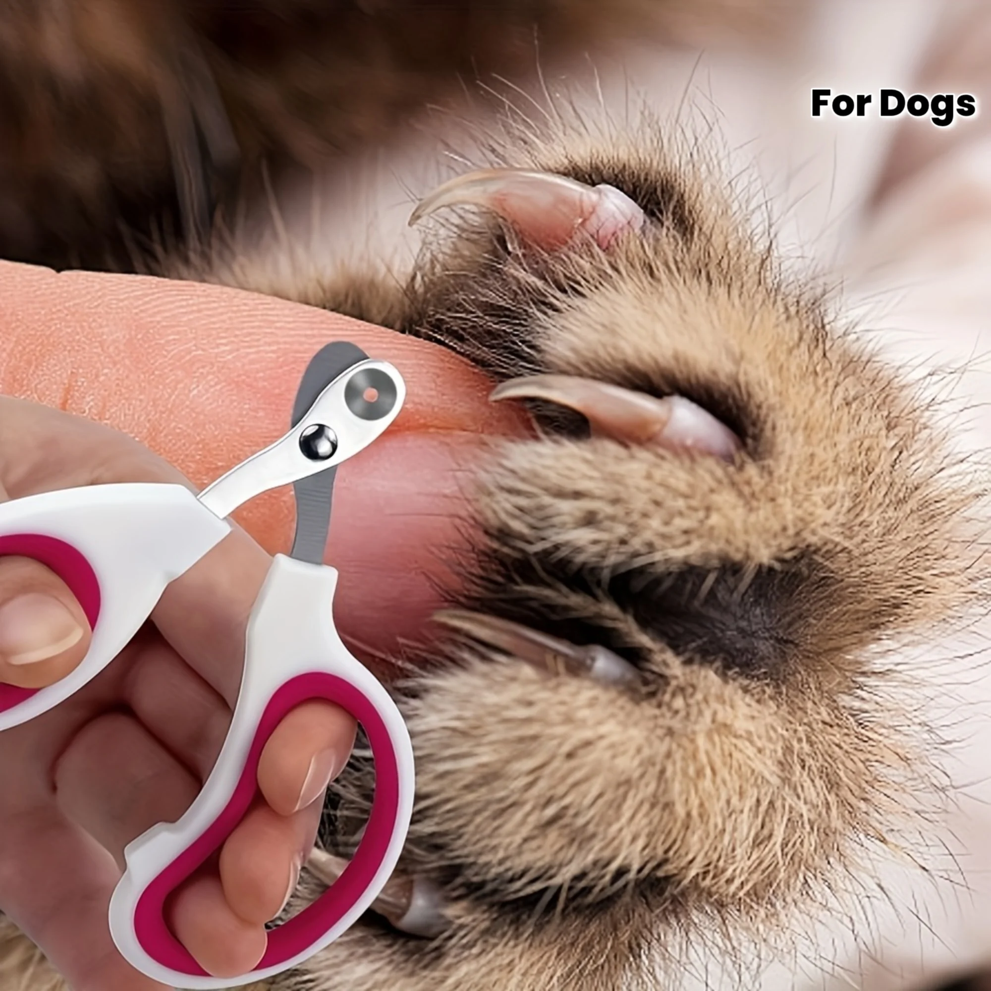 1PC Professional Pet Nail Trimmer Kit - Sharp, Simple and Practical Stainless Steel Scissors and Sharpener Safety Kit for Dogs and Cats