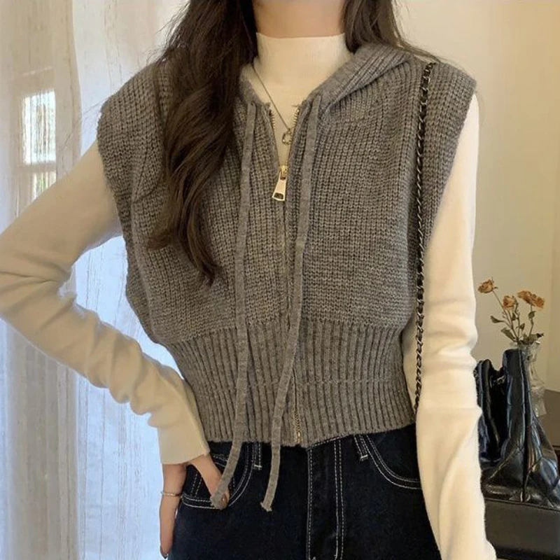 Sweater Vests Women Kawaii Popular Students Hooded Comfortable Ulzzang Streetwear Loose Faddish All-match Simple Leisure Solid