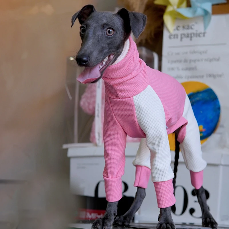 

Fashion Greyhound Turtlenecks Clothes Italian Greyhound Winter Warm Jumpsuits For Small Media Large Dogs