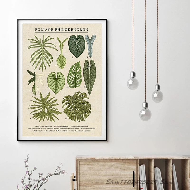 Cartoon Popular Science Plant Posters Foliage Philodendron and Anthurium Plants Canvas Printing Painting Home Decoration