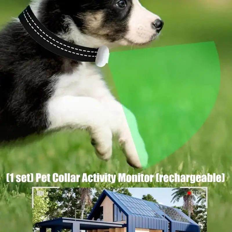 UHD 120° Wide Pet Neck Camera For Adventure Recording Builts