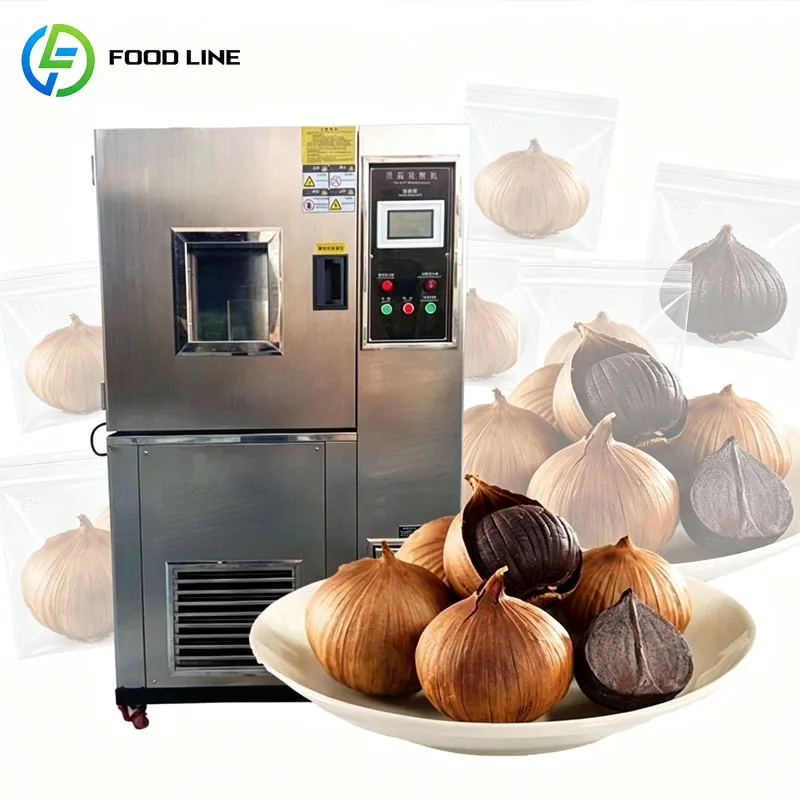 Black Garlic Fermentation Machine Fermentation Chamber Temperature Control Smart Aging Cabinet Stainless Steel Customized