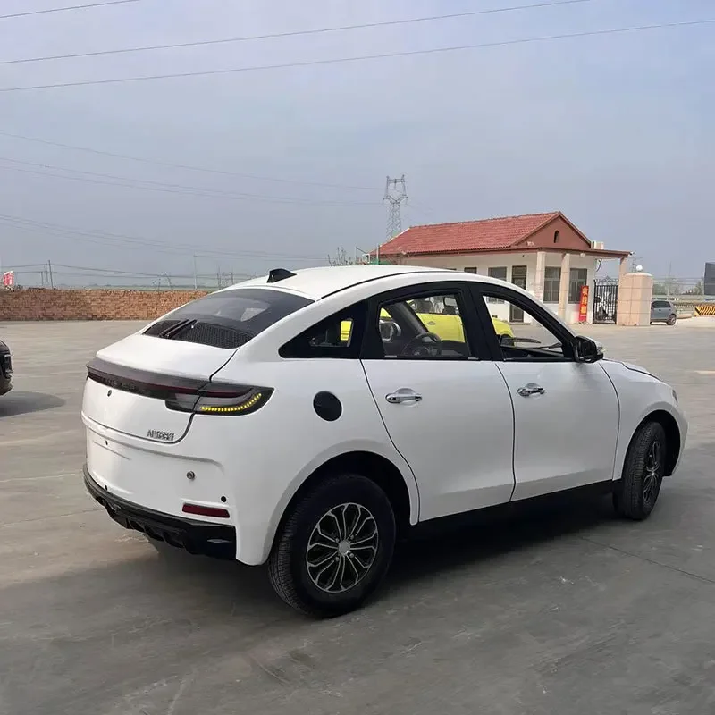 2024 new energy women's household small oil fully enclosed elderly car