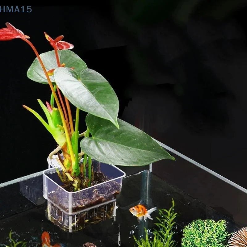 【YA】Maceta hidropónica transpa - Aquarium Fish Pot reseña y precio