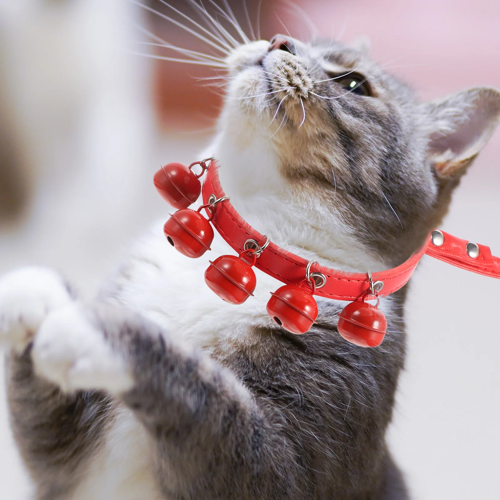 

Pet Collar Traction Rope Cat Dog with Clip Tie Leashes for Small Breed Dogs Pulling Kitten