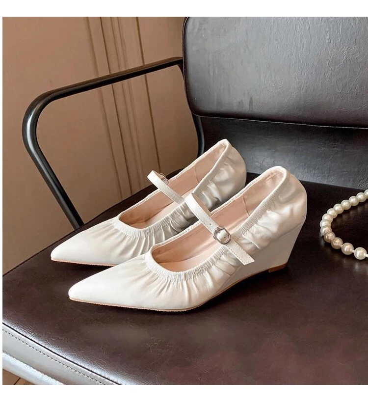 

Elegant Pointed-Toe Mary Jane Shoes with Single Strap for Women, 2026 Early Spring New Shallow Silver Pleated Block Heel Shoes