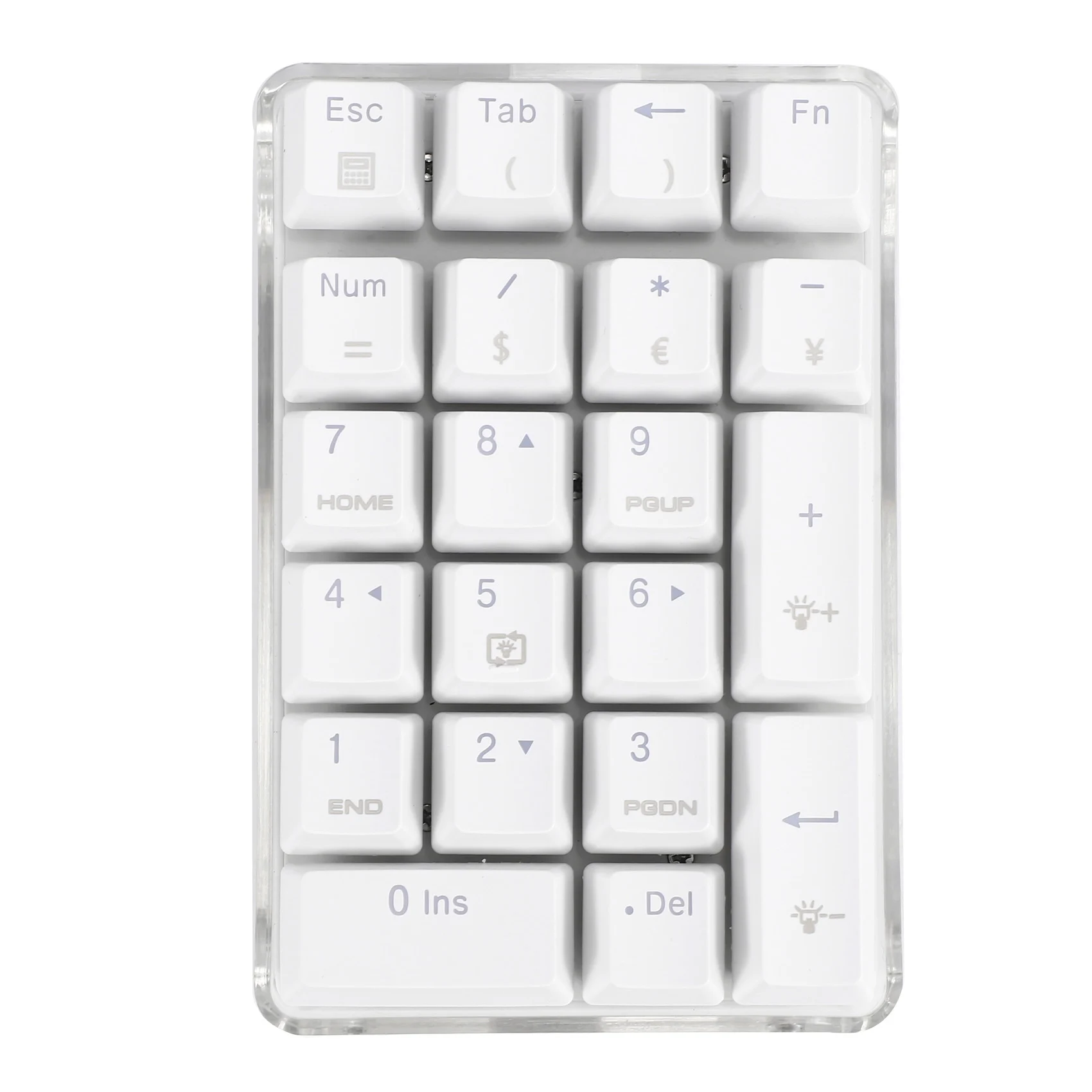 GATERON-Clavier numérique mécanique avec interrupteur marron, clavier de jeu filaire, boîtier en cristal, rétroéclairage blanc, 21 prédire, mini pavé numérique