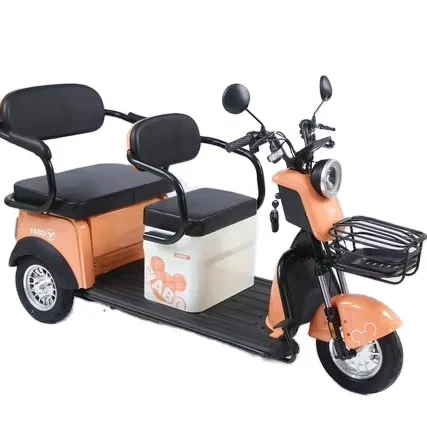 48V Electric Cargo Tricycle with Central Motor Steel Frame Baby Tricycle Gasoline Electric Tricycle Options Moto Accessory