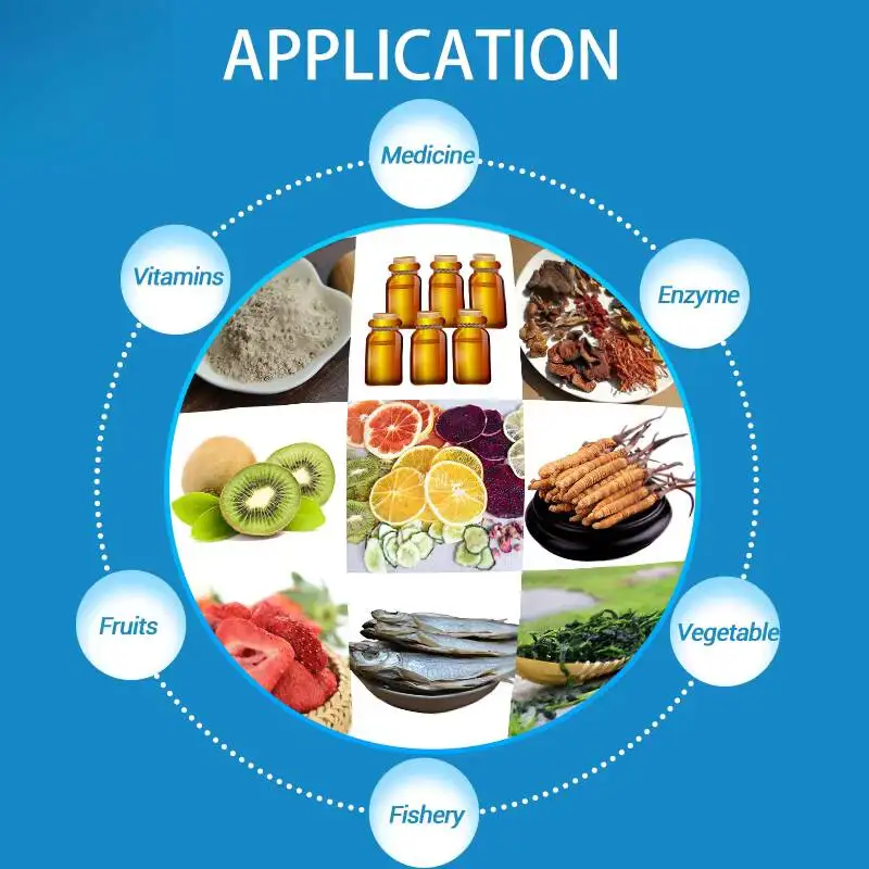 -80°C 6kg/batch Manifold Laboratory Vacuum Freeze Dryer Household Small Freeze Dryer For Food, Fruits, And Vegetables