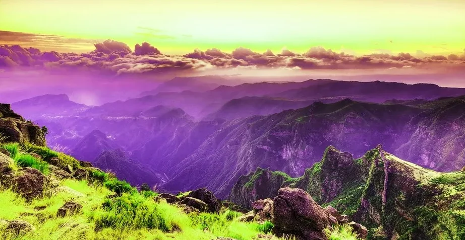 206E 1:10 4WD 몬스터 트럭 - 2.4G, 50-60km/h, RTR 14세 이상용