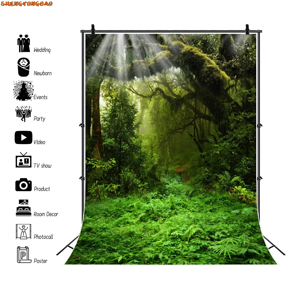 ฤดูใบไม้ผลิทิวทัศน์ธรรมชาติป่าการถ่ายภาพฉากหลังป่าเขตร้อนสีเขียวป่าต้นไม้ผจญภัยเด็กภาพพื้นหลัง