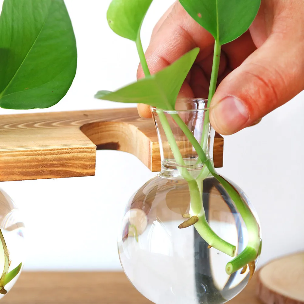 Glass Planter Bulb Vase Hydroponic Plants Transparent Round Plant Pots Mini Greenhouse Terrarium for Home Decor