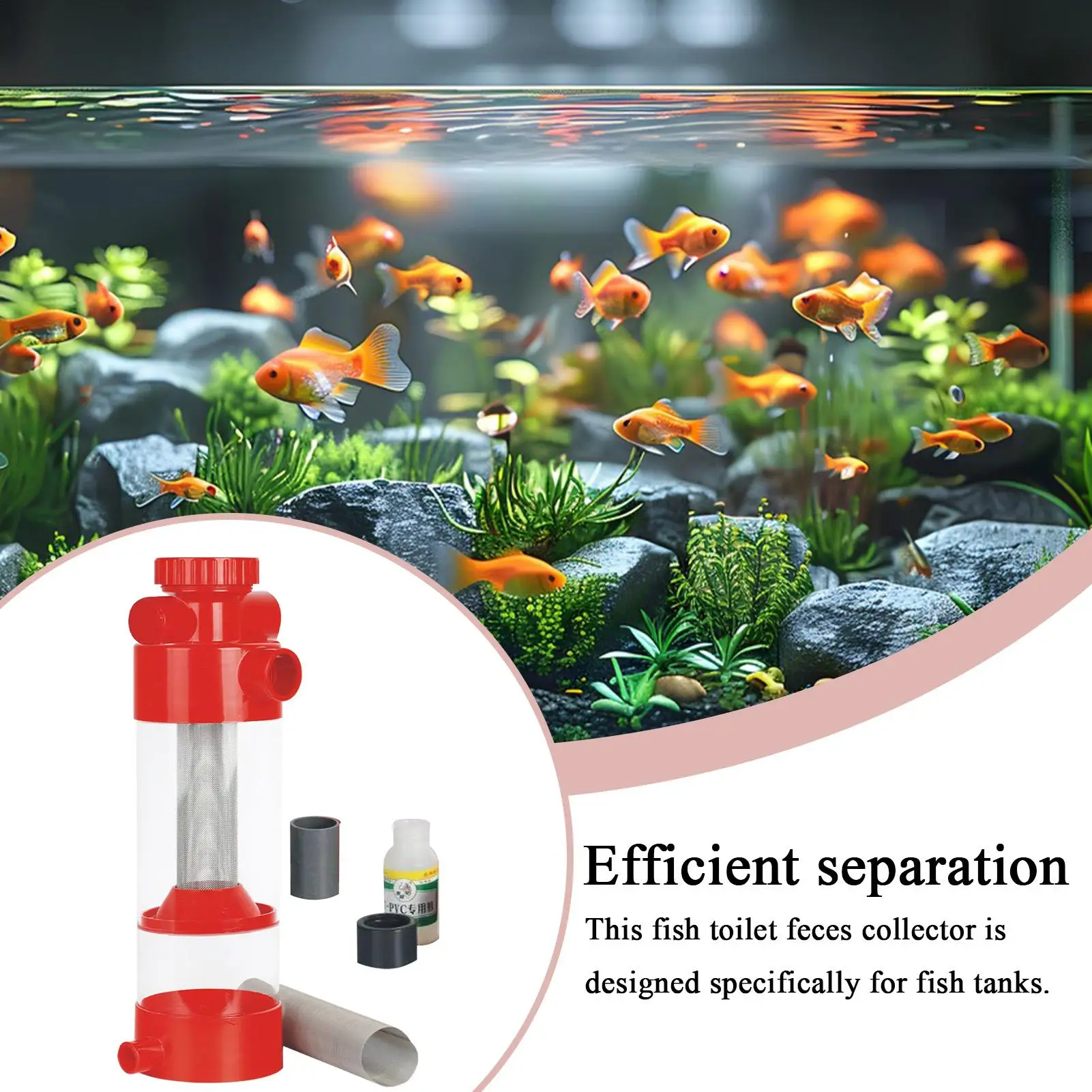 

Fish Waste Collector Fish Waste Cleaner Filter External Separator Cleaning Tool For Breeding Tank Betta Shrimp Maintenance
