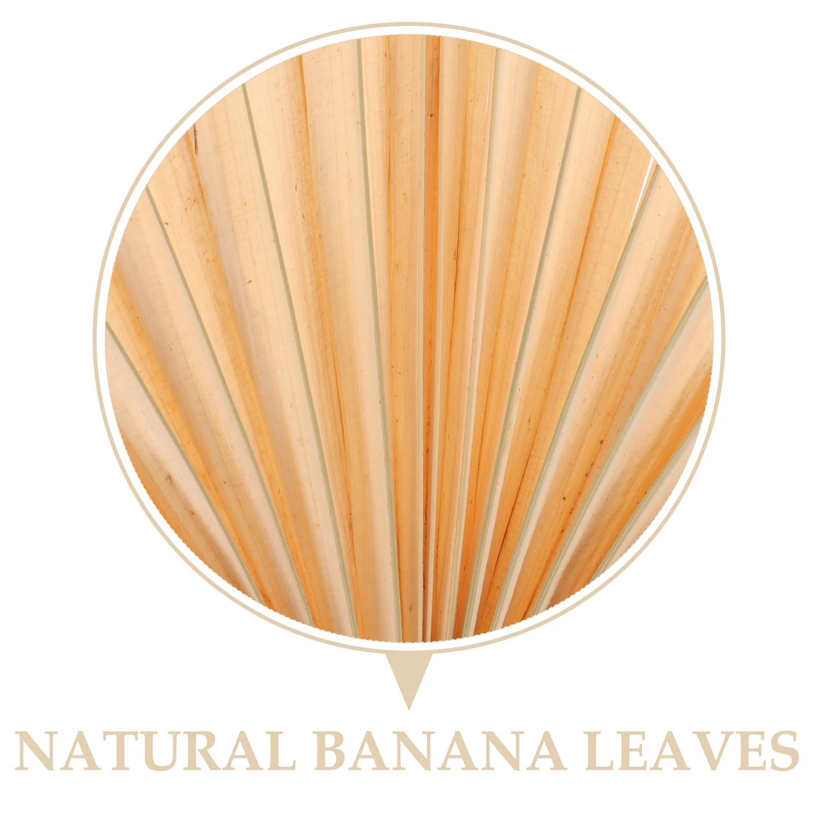 

Portable Natural Hand Fan Vintage Woven Palm Leaf Summer Handmade Fan for Cooling Decoration Wedding Party Beach Office Use