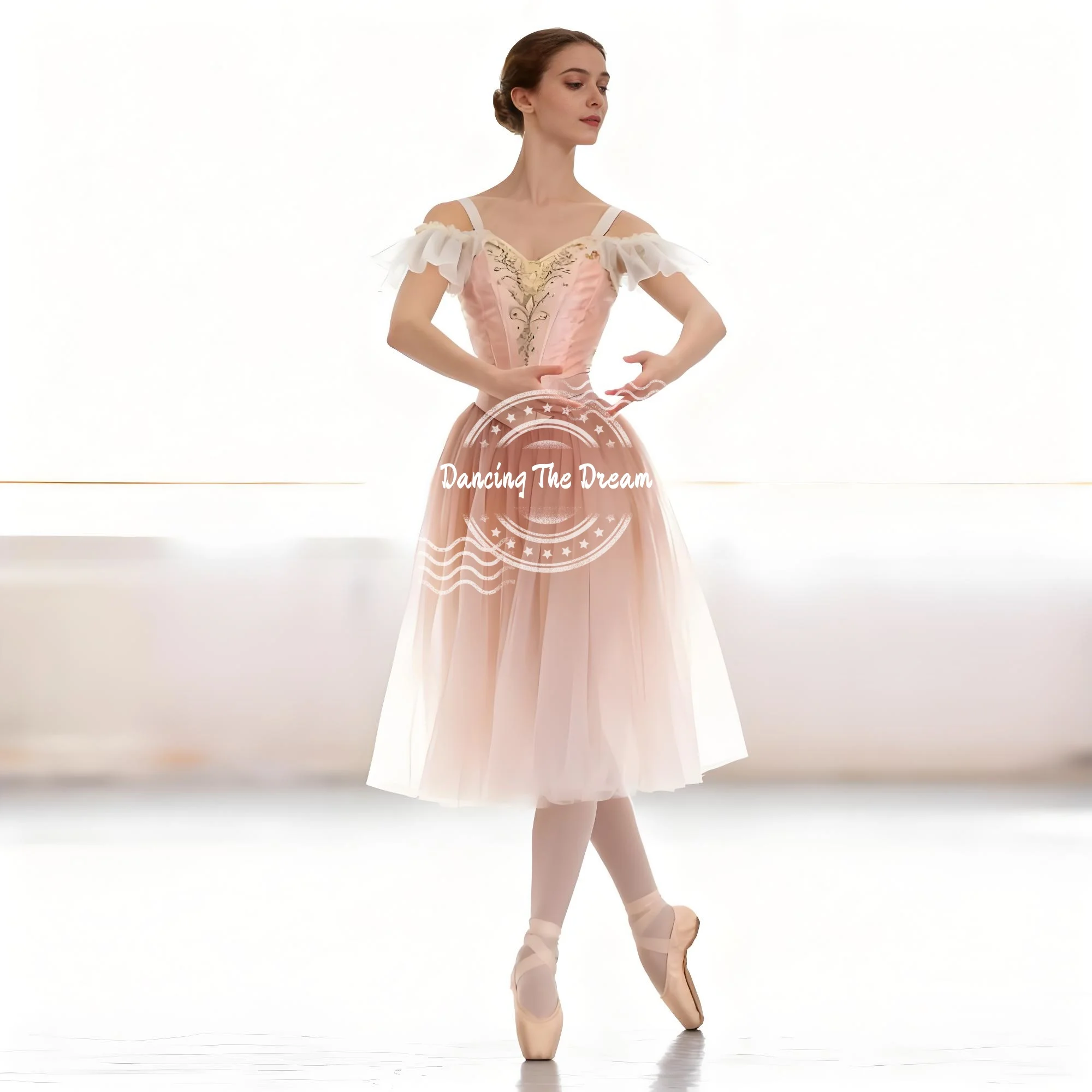 

Delicate Pink Ombre Tulle Ballet Costume Chic Off - Shoulder Ombre Ballet Performance Dress