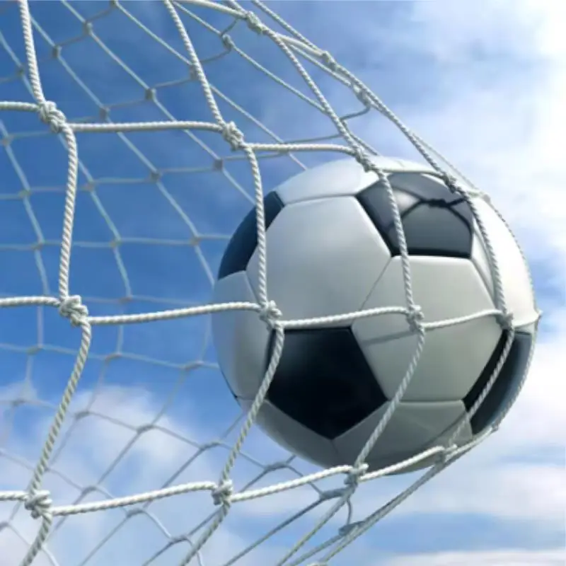 Full Size Football Net For Soccer Goal Post Junior Sports Training 1.8M X 1.2M 3M X 2M ​​7.3M X 2.4M Football Net High Qual