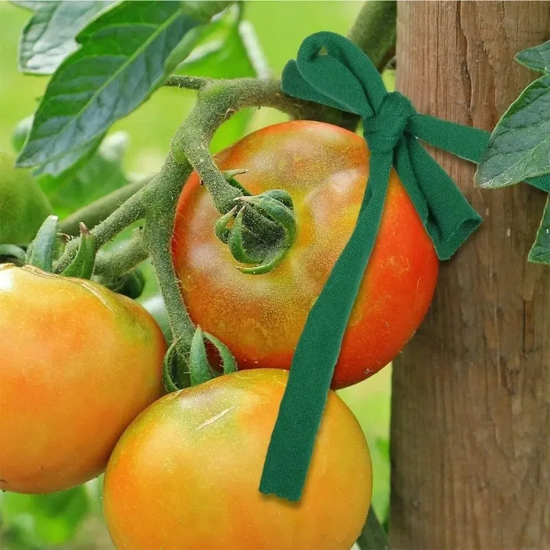 Green Garden Rope Plant Support Twine Soft Cloth Strip Tomato Vines Rope Stretchy Garden String Tying Climb Flower Binding Strap